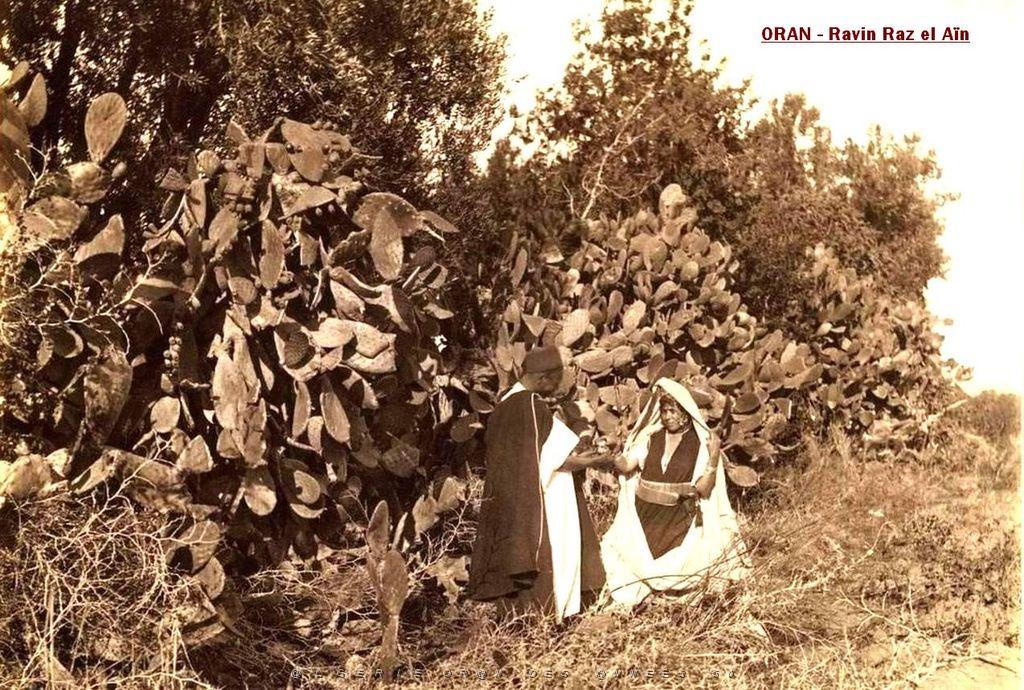 Images d'Algerie 146.jpg